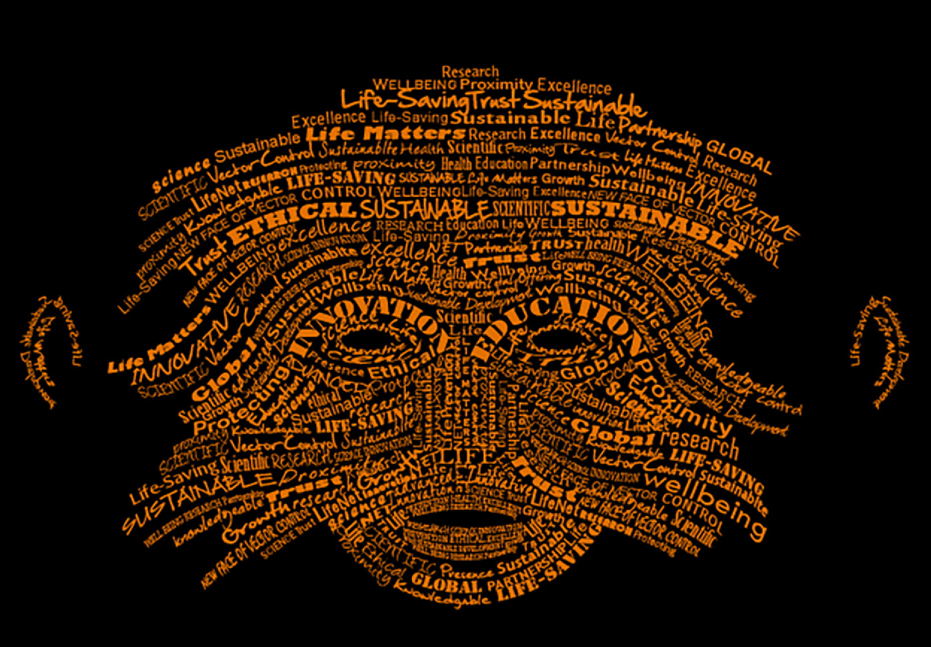 A compositional map showing the arrangement of campaign words that structure the face.